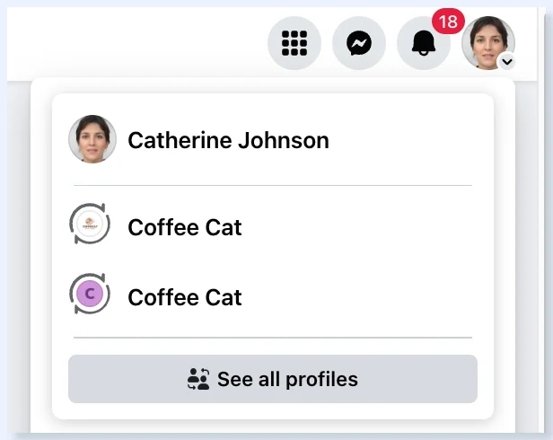 Menu de perfil do Facebook com Ver todos os perfis