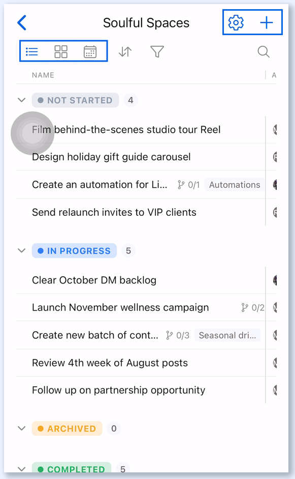 Project in the Vista Social app with the view icons, settings and new task buttons highlighted