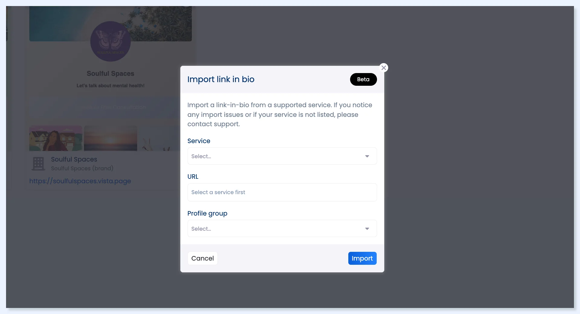 Janela Import link in bio com os campos Service, URL e Profile group