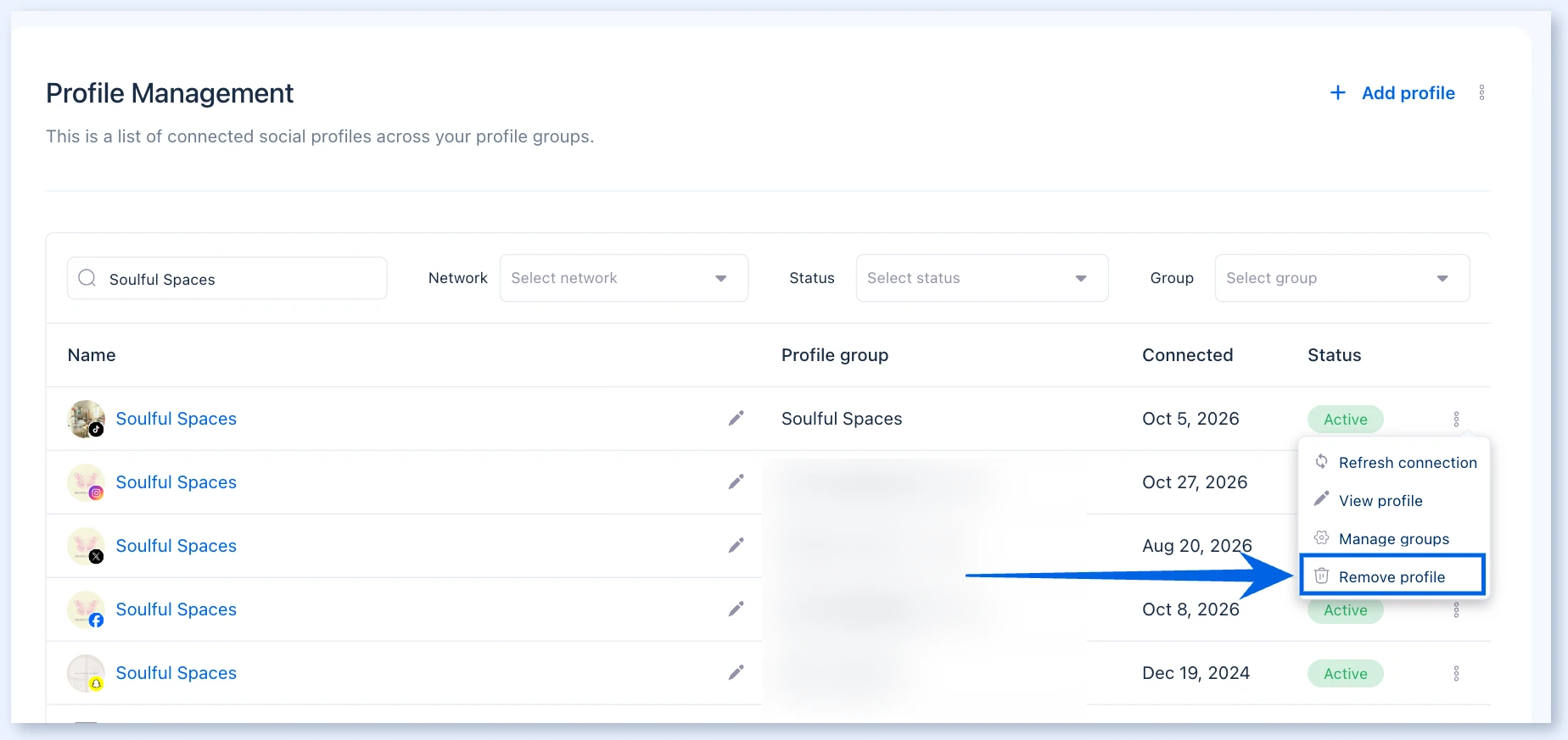 Menu do perfil com Remove profile em destaque