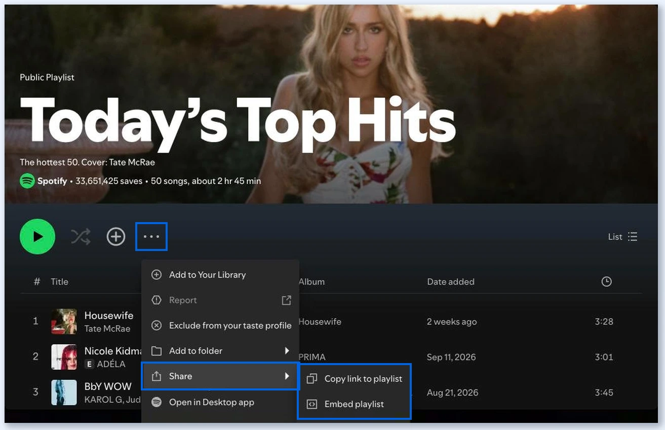 Menu Share do Spotify com Copy link to playlist e Embed playlist