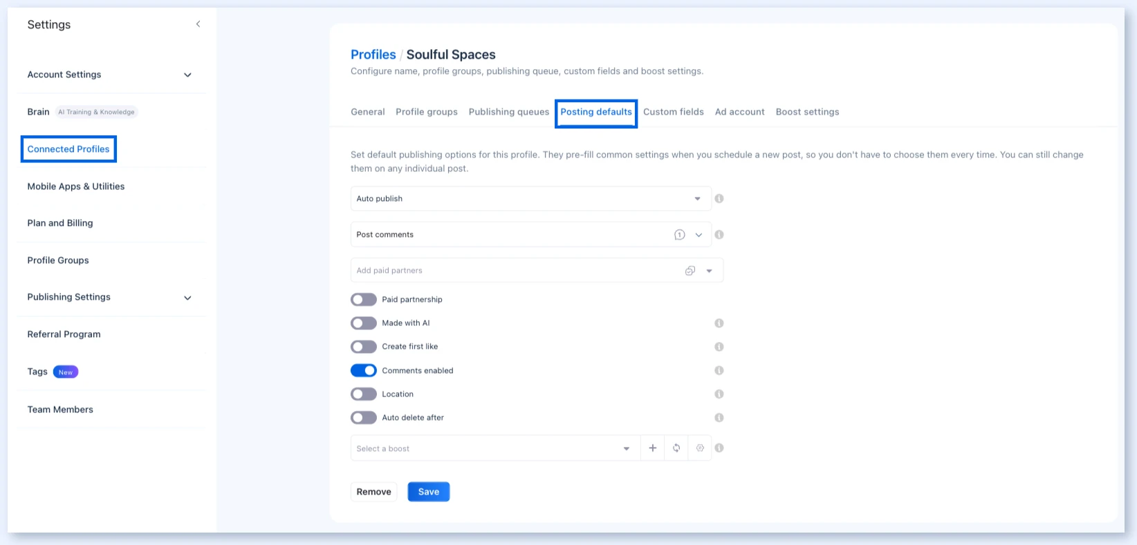 Вкладка Posting defaults в Settings, Connected Profiles